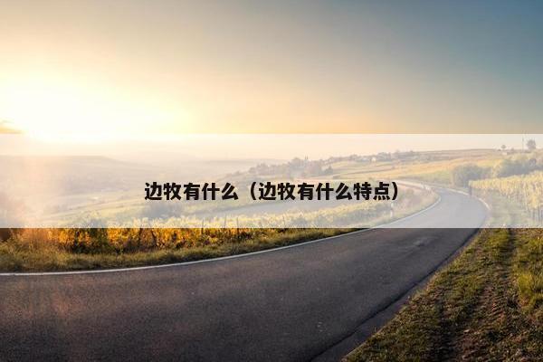边牧有什么（边牧有什么特点）