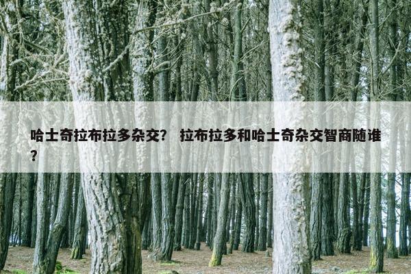 哈士奇拉布拉多杂交？ 拉布拉多和哈士奇杂交智商随谁？