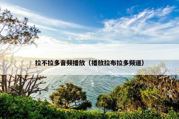 拉不拉多音频播放（播放拉布拉多频道）