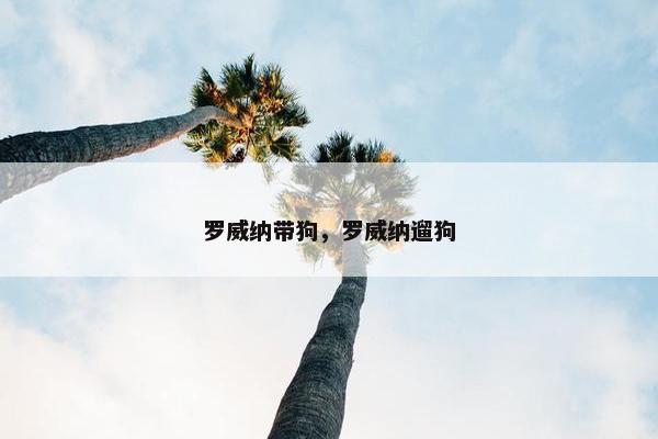罗威纳带狗，罗威纳遛狗