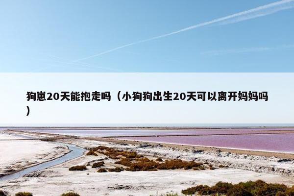 狗崽20天能抱走吗（小狗狗出生20天可以离开妈妈吗）