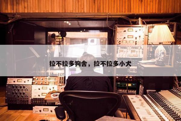 拉不拉多狗舍，拉不拉多小犬