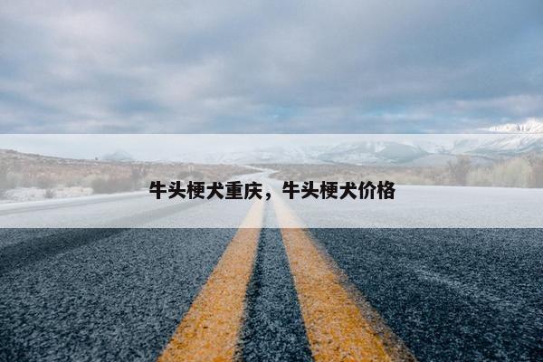 牛头梗犬重庆，牛头梗犬价格