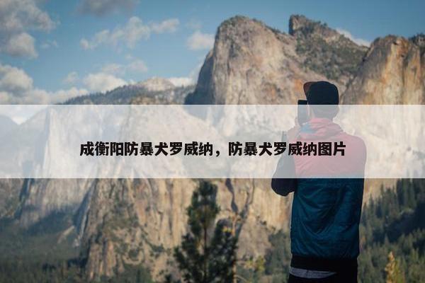成衡阳防暴犬罗威纳，防暴犬罗威纳图片