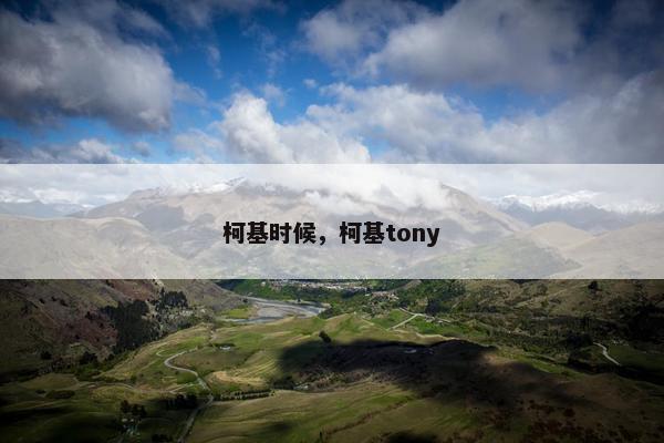 柯基时候，柯基tony