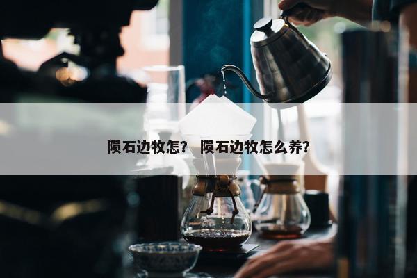 陨石边牧怎？ 陨石边牧怎么养？