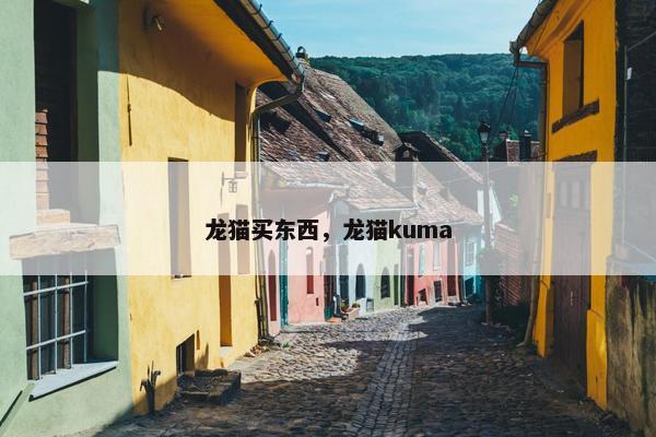 龙猫买东西，龙猫kuma