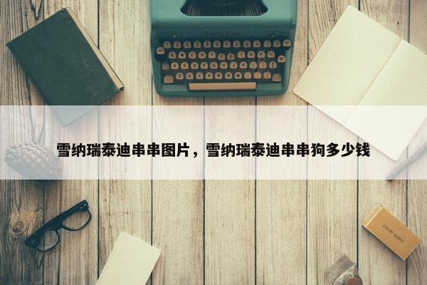雪纳瑞泰迪串串图片，雪纳瑞泰迪串串狗多少钱