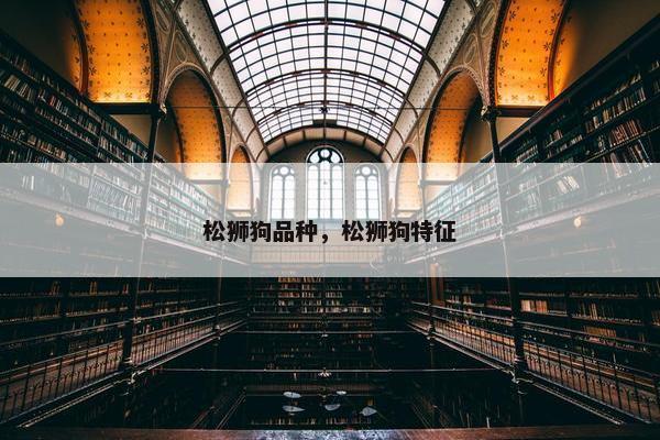 松狮狗品种，松狮狗特征