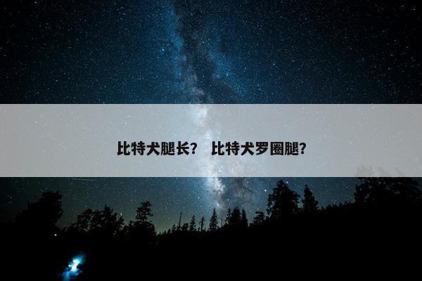 比特犬腿长？ 比特犬罗圈腿？