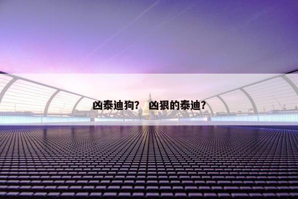 凶泰迪狗？ 凶狠的泰迪？