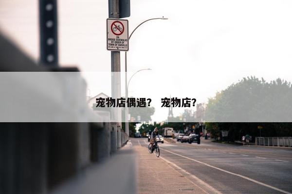 宠物店偶遇？ 宠物店？