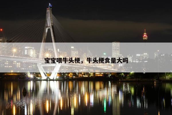 宝宝喂牛头梗，牛头梗食量大吗