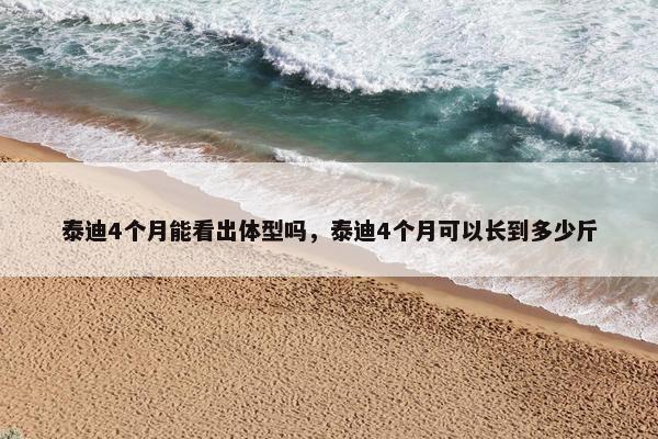 泰迪4个月能看出体型吗，泰迪4个月可以长到多少斤