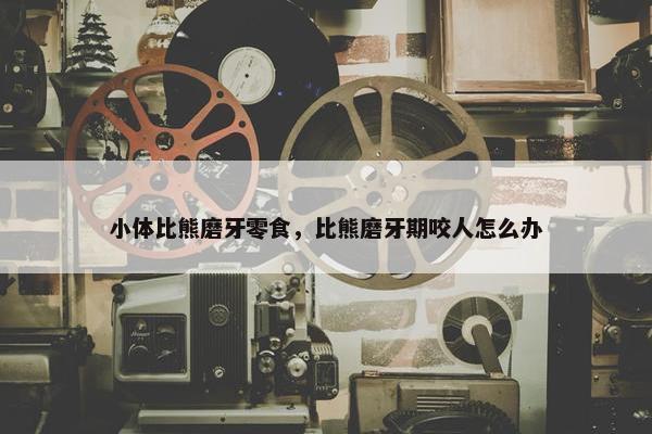 小体比熊磨牙零食，比熊磨牙期咬人怎么办