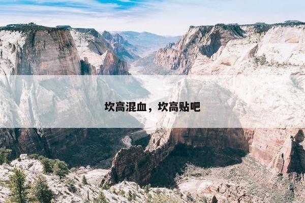 坎高混血，坎高贴吧