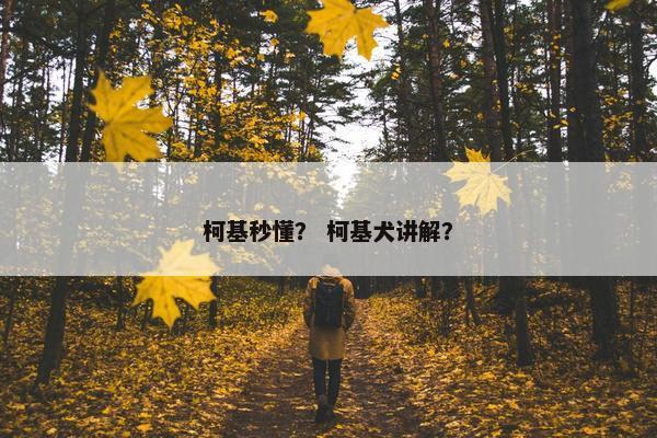 柯基秒懂？ 柯基犬讲解？