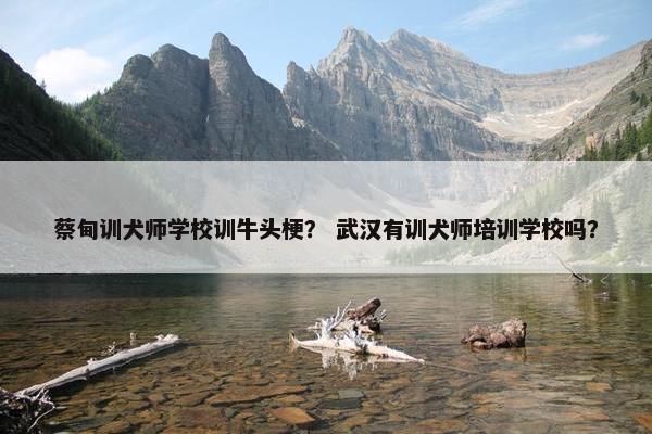 蔡甸训犬师学校训牛头梗？ 武汉有训犬师培训学校吗？