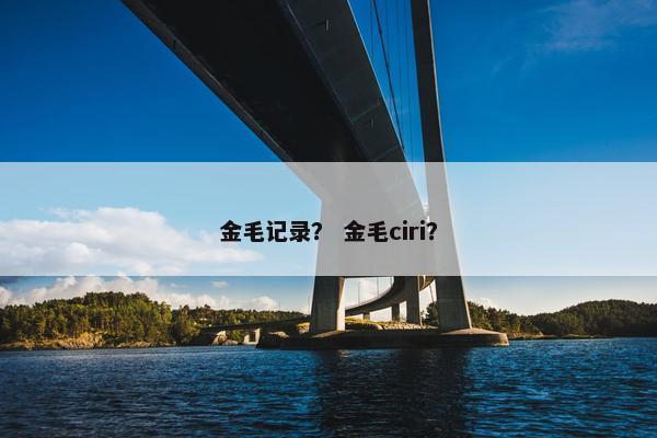 金毛记录？ 金毛ciri？