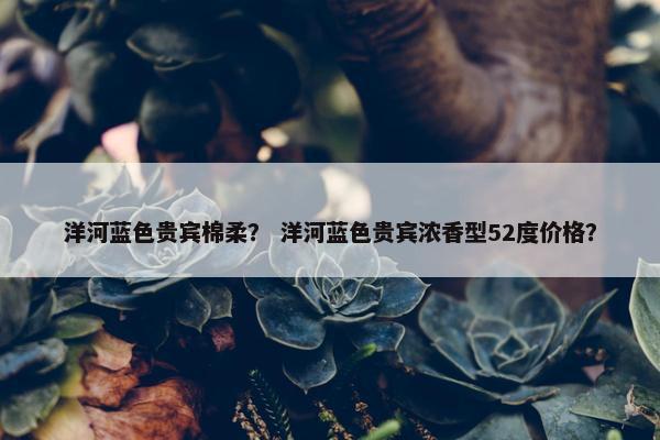 洋河蓝色贵宾棉柔？ 洋河蓝色贵宾浓香型52度价格？