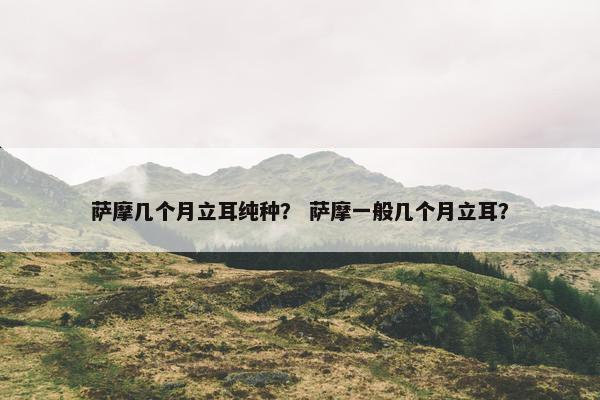萨摩几个月立耳纯种？ 萨摩一般几个月立耳？