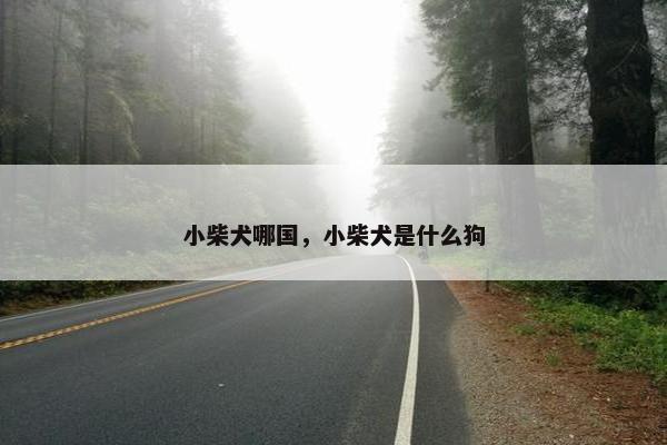 小柴犬哪国，小柴犬是什么狗
