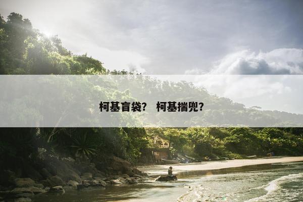 柯基盲袋？ 柯基揣兜？