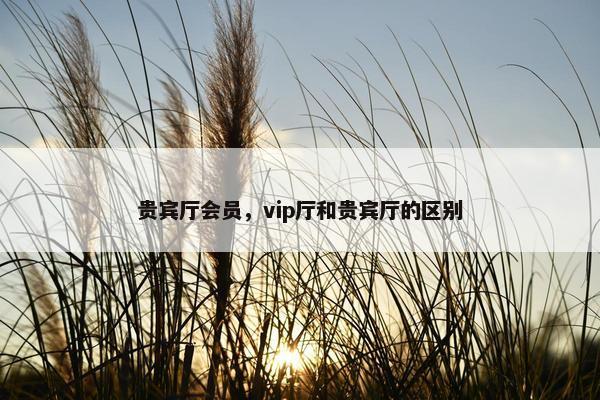 贵宾厅会员，vip厅和贵宾厅的区别