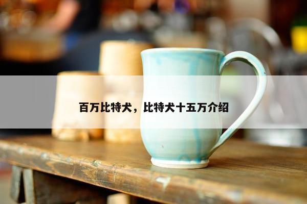 百万比特犬，比特犬十五万介绍