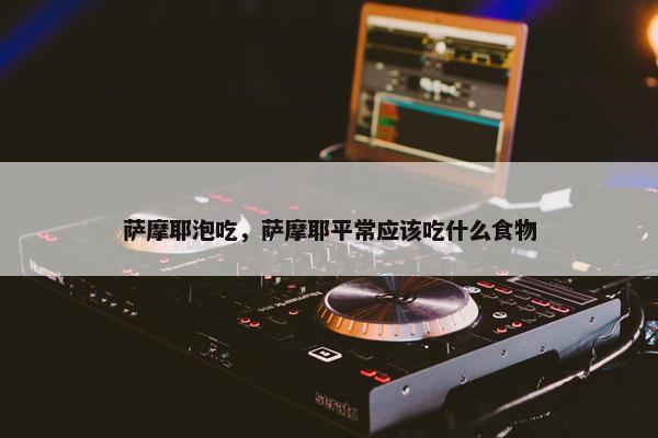 萨摩耶泡吃，萨摩耶平常应该吃什么食物