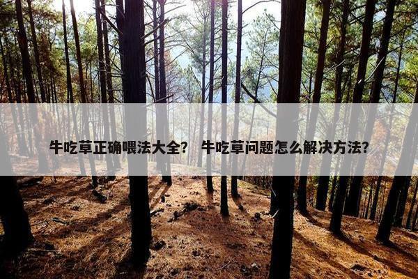 牛吃草正确喂法大全？ 牛吃草问题怎么解决方法？