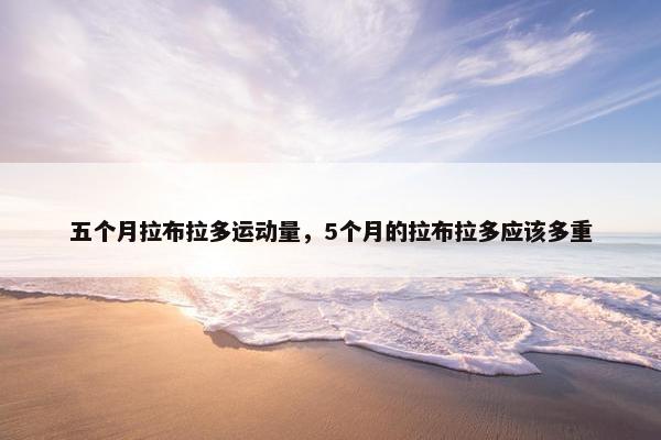 五个月拉布拉多运动量，5个月的拉布拉多应该多重