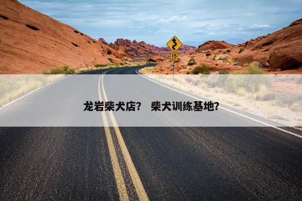 龙岩柴犬店？ 柴犬训练基地？