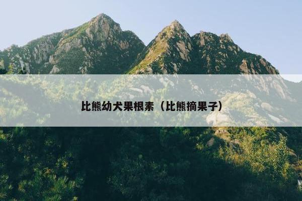 比熊幼犬果根素（比熊摘果子）