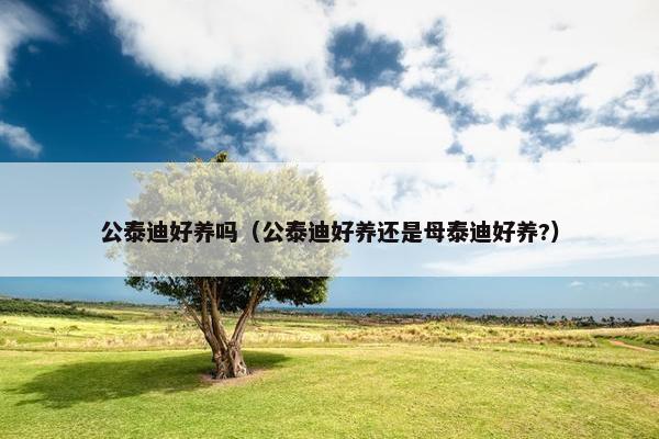 公泰迪好养吗（公泰迪好养还是母泰迪好养?）