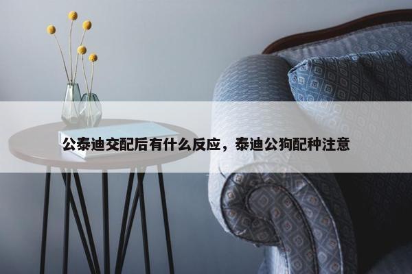 公泰迪交配后有什么反应，泰迪公狗配种注意