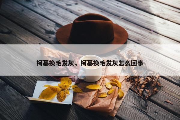 柯基换毛发灰，柯基换毛发灰怎么回事