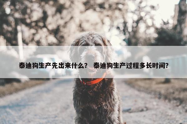 泰迪狗生产先出来什么？ 泰迪狗生产过程多长时间？