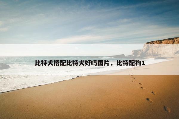 比特犬搭配比特犬好吗图片，比特配狗1
