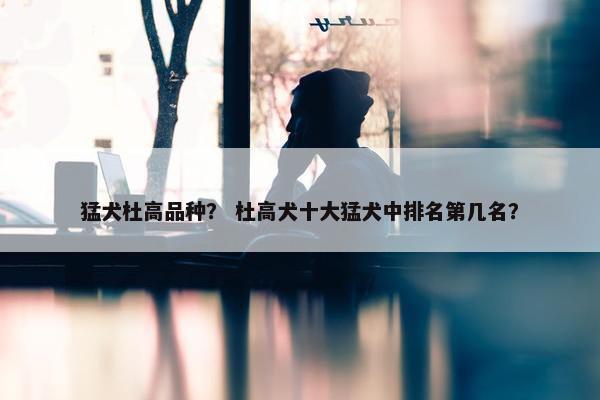 猛犬杜高品种？ 杜高犬十大猛犬中排名第几名？