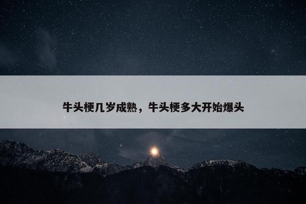 牛头梗几岁成熟，牛头梗多大开始爆头