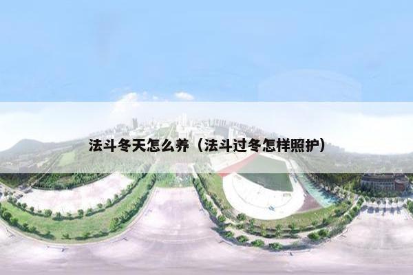 法斗冬天怎么养（法斗过冬怎样照护）