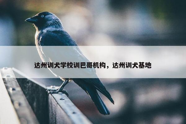 达州训犬学校训巴哥机构，达州训犬基地