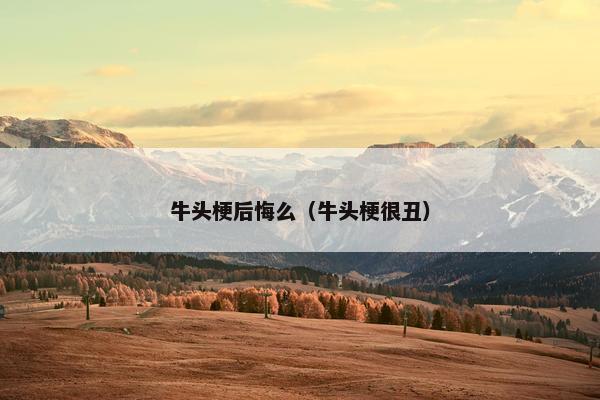 牛头梗后悔么（牛头梗很丑）
