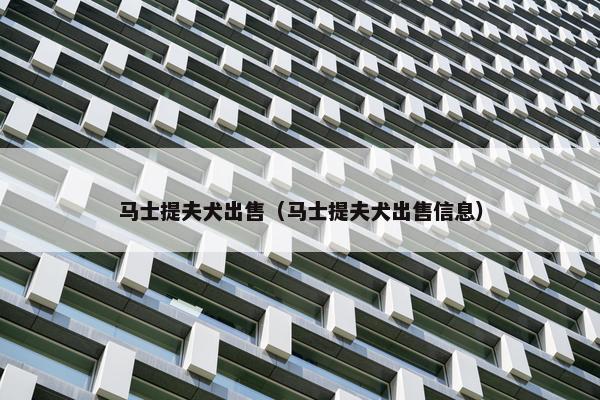 马士提夫犬出售（马士提夫犬出售信息）
