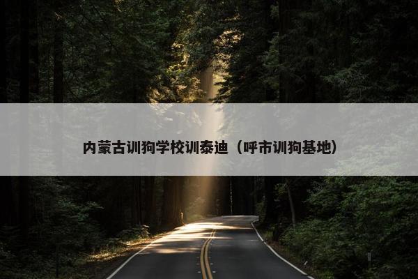 内蒙古训狗学校训泰迪（呼市训狗基地）