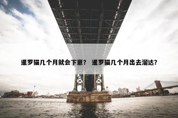 暹罗猫几个月就会下崽？ 暹罗猫几个月出去溜达？