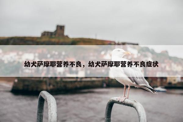 幼犬萨摩耶营养不良，幼犬萨摩耶营养不良症状