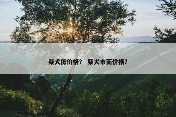 柴犬低价格？ 柴犬市面价格？