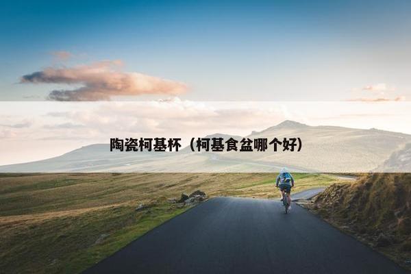 陶瓷柯基杯（柯基食盆哪个好）